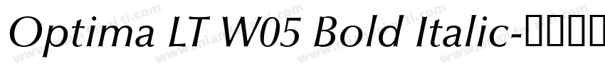 Optima LT W05 Bold Italic字体转换